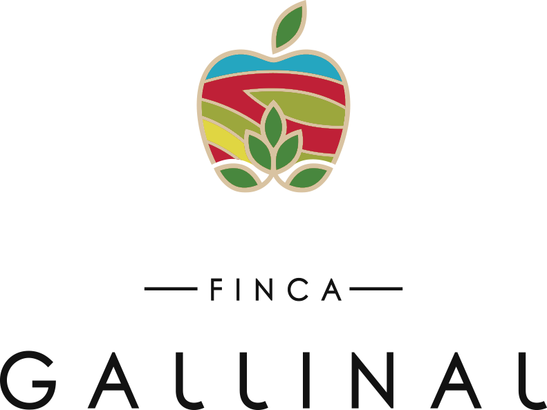 Logo Gallinal