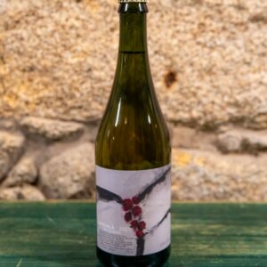 Sidra Abuls Savvala