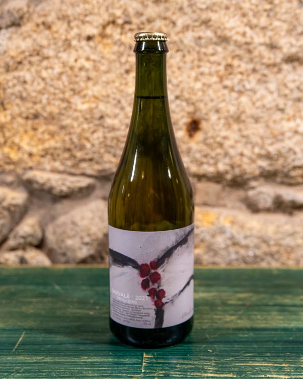 abuls_savvala Sidra Abuls Savvala